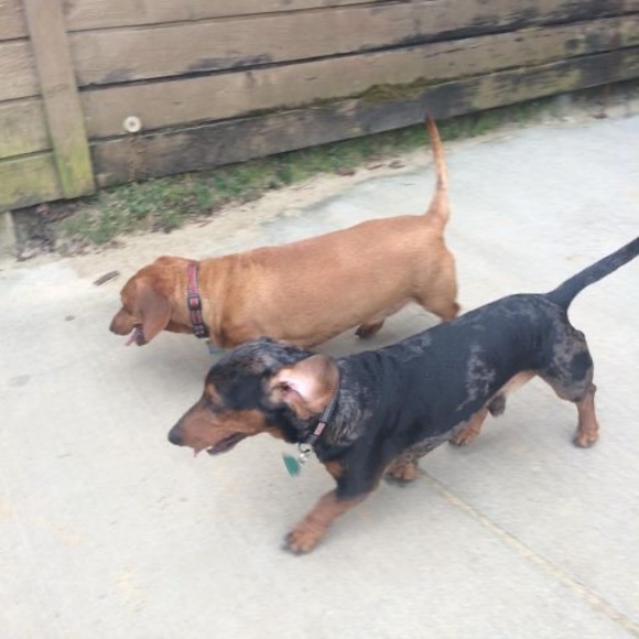 Meet your Posher, Mike - Picture 1 of 1